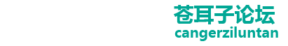苍耳子